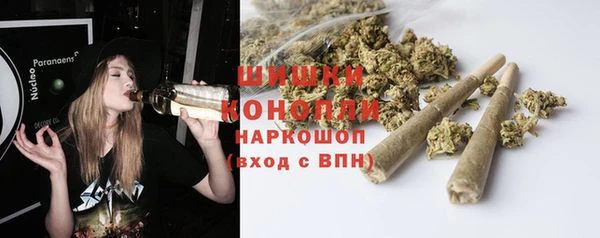 индика Вязники